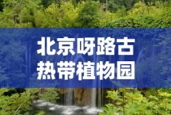 北京呀路古热带植物园门票