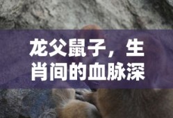 尼禄和saber是什么关系