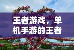 游明星空