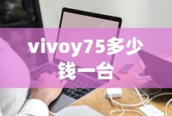 vivoy75多少钱一台