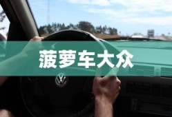 菠萝车大众