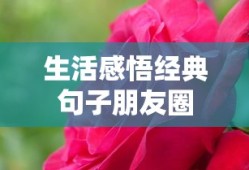 生活感悟经典句子朋友圈