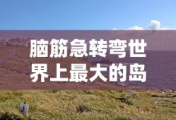 脑筋急转弯世界上最大的岛屿是什么岛