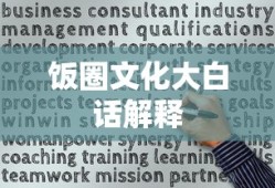 饭圈文化大白话解释