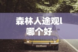 森林人途观l哪个好