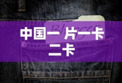 中国一 片一卡二卡