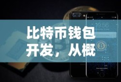 从概念到实践，全面解析比特币钱包开发