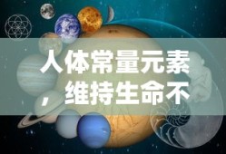 人体常量元素，生命不可或缺的元素
