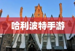 艾斯加点图燃烧意志