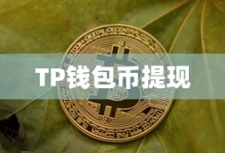 TP钱包币提现指南，步骤、注意事项与常见问题解答