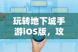 玩转地下城手游iOS版，攻略秘籍与技巧分享