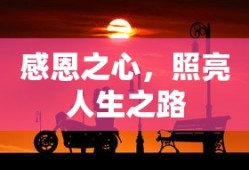 感恩之心，照亮人生之路