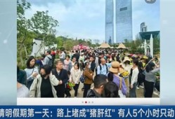 清明路上堵成猪肝红：有人5小时动800米 到处都是车