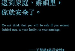 诺曼底内购，揭秘背后的故事与深层意义