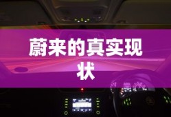 蔚来的真实现状