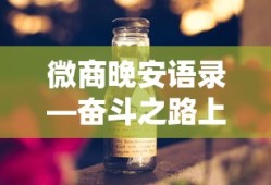 伊洛纳职业选择推荐