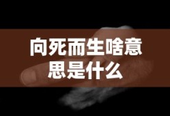 无尽英雄礼包码