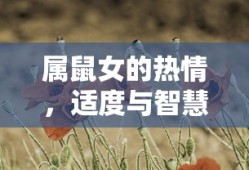 大众干式双离合变速箱寿命