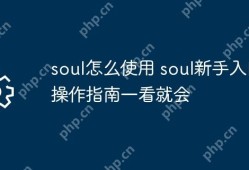 Soul新手快速上手操作指南，一看就会的Soul使用方法