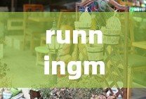 runningman2013完整版在线观看