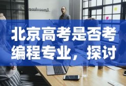北京高考是否考编程专业，探讨与前瞻