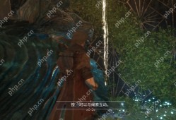 光影交织，33号与81号远征队日志全收集指南