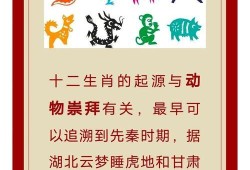 超进化物语2