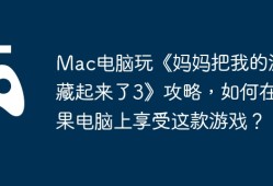 Mac电脑玩《妈妈把我的游戏藏起来了3》攻略，如何在苹果电脑上享受这款游戏？