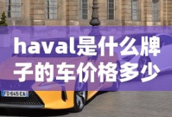 全职高手电视剧免费完整版24集