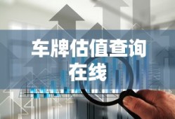 车牌估值查询在线