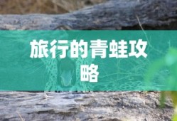 旅行的青蛙攻略