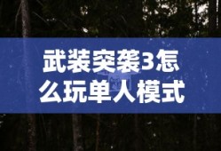 武装突袭3怎么玩单人模式