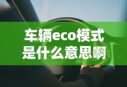车辆eco模式是什么意思啊