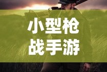 睿翼轿跑改装图片