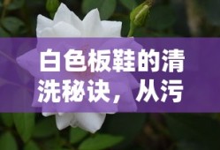 白色板鞋清洗秘诀，从污渍到光洁如新的全面指南