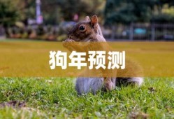 程咬金技能详解