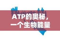 躁动不安的意思解释