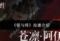 银与绯沧凛怎么样  银与绯沧凛介绍