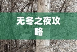无冬之夜攻略大全，未知世界的探索秘密