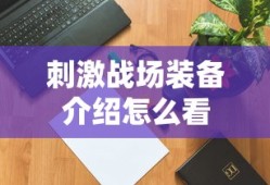 刺激战场装备介绍怎么看