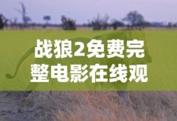 战狼2免费完整电影在线观看高清