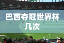 巴西夺冠世界杯几次