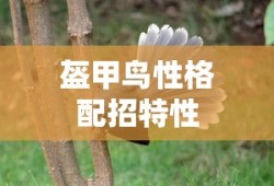 盔甲鸟性格配招特性
