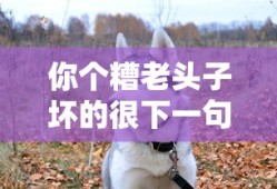 你个糟老头子坏的很下一句该怎么回复