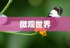 夸克，微观世界中的神秘粒子