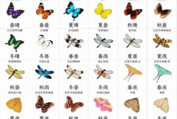 开放空间收集物及获取时间一览