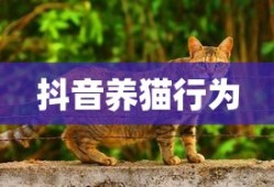 春运返程抢票攻略，掌握这些方法，顺利回家不再难