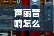 声丽音响怎么样
