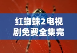 红蜘蛛2电视剧免费全集完整版在线观看