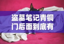 盗墓笔记青铜门后面到底有什么